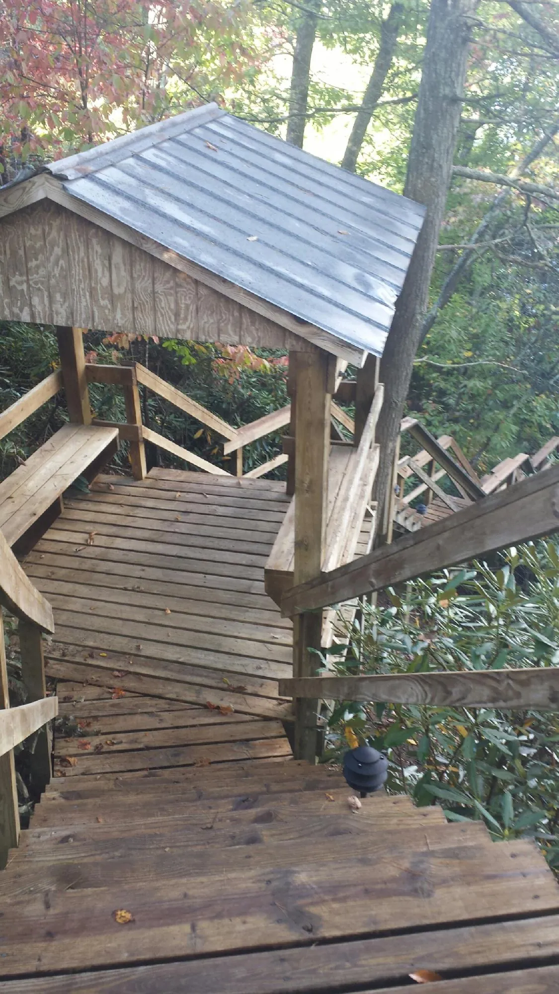 Metal roofed shelter over wooden steps on a wooded walkway — Skylight Repair & Installation work by our crew in Bon Aqua